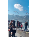 旅行风景6028