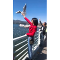 旅行风景6029