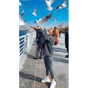 旅行风景6033
