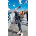 旅行风景6033