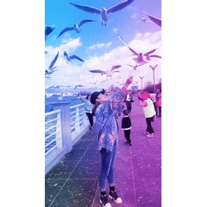 旅行风景6039
