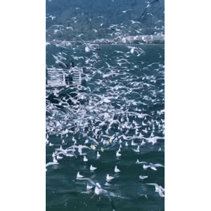 旅行风景6054
