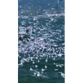旅行风景6054