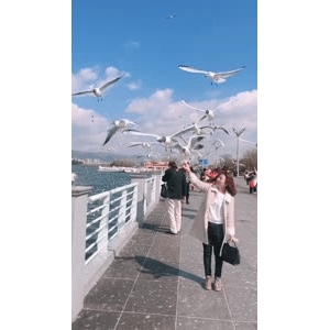 旅行风景6058