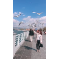 旅行风景6058
