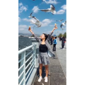 旅行风景6062