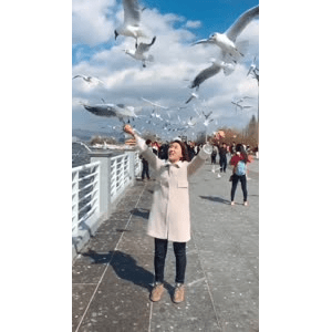 旅行风景6063