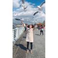 旅行风景6063