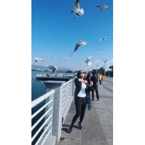 旅行风景6066
