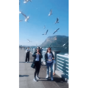 旅行风景6069