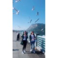 旅行风景6069