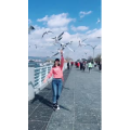 旅行风景6071