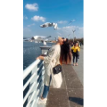 旅行风景6075