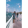 旅行风景6076