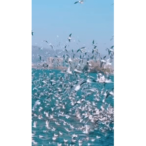 旅行风景6077