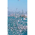 旅行风景6077