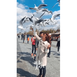 旅行风景6078