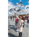 旅行风景6078