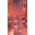 旅行风景6080