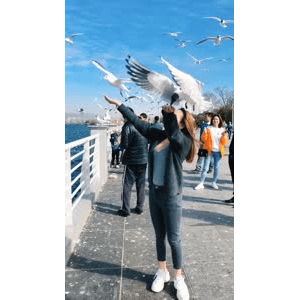 旅行风景6081