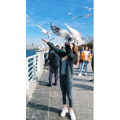 旅行风景6081