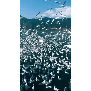旅行风景6083