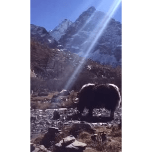 旅行风景6112