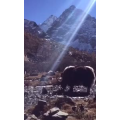 旅行风景6112