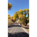 旅行风景6121
