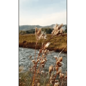 旅行风景6123
