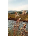 旅行风景6123