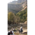 旅行风景6130
