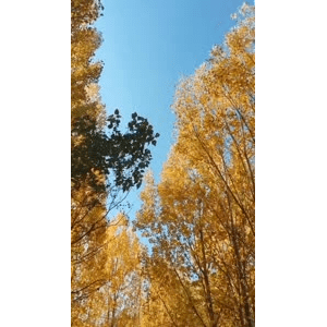 旅行风景6132