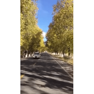 旅行风景6134
