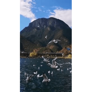 旅行风景6154