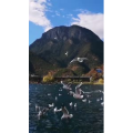 旅行风景6154