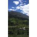 旅行风景6160