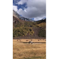 旅行风景6170