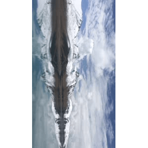 旅行风景6172