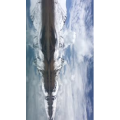 旅行风景6172