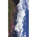 旅行风景6183
