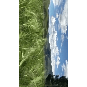 旅行风景6185