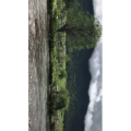 旅行风景6190