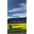 旅行风景6191
