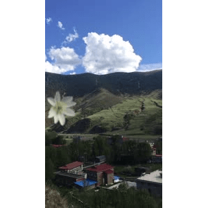 旅行风景6194