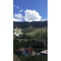 旅行风景6194