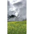 旅行风景6201