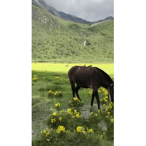 旅行风景6204
