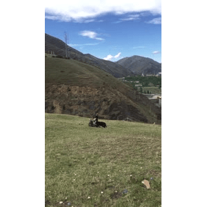 旅行风景6205