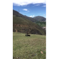 旅行风景6205